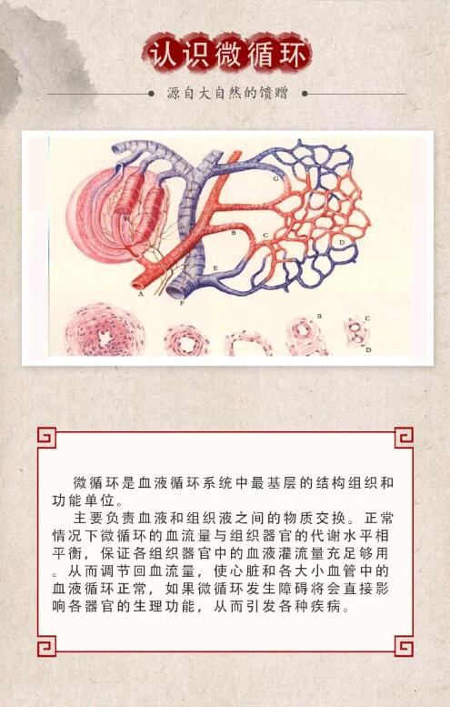 【乌金石产品介绍】疏通微循环就选乌金石沙棘雪莲插图1 【乌金石产品介绍】疏通微循环就选乌金石沙棘雪莲插图1